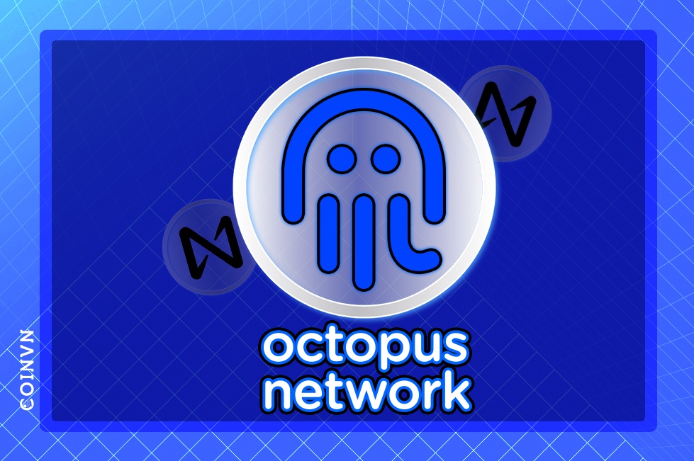 Octopus Network la gi? Toan tap ve Octopus Network va token OCT - anh 1