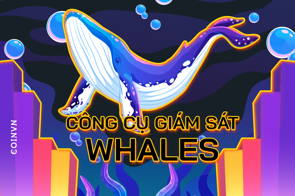 Ca voi nghi gi? Cong cu giam sat “nhat cu nhat dong” cua Whales - anh 1