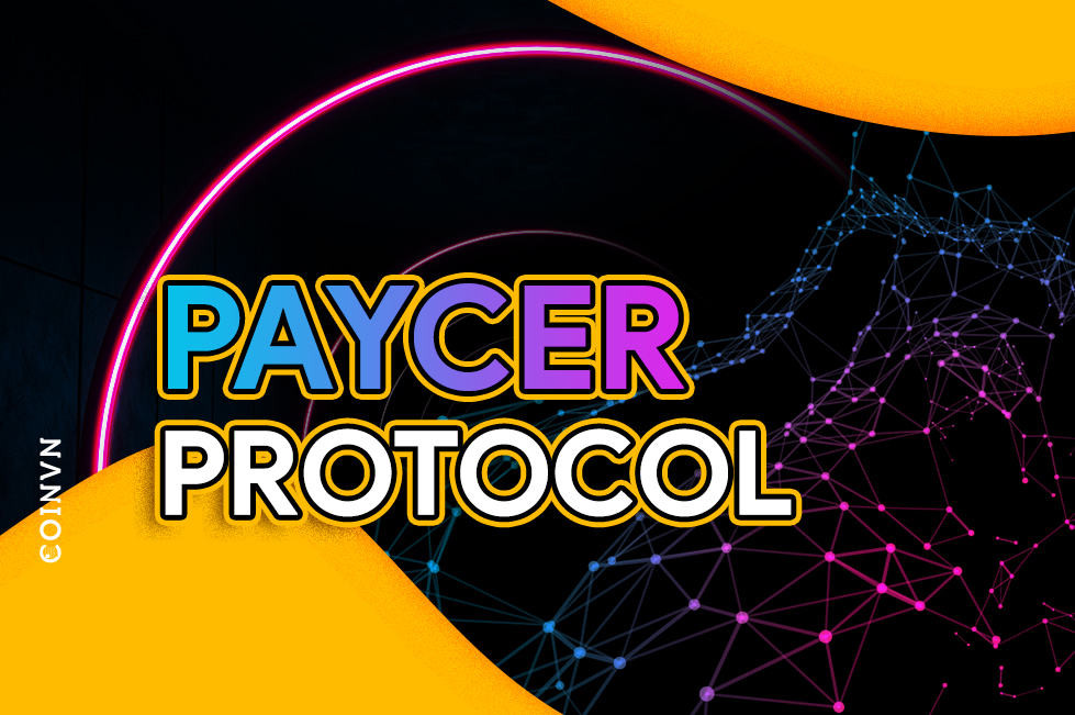 Paycer Protocol la gi? Thong tin chi tiet ve du an Paycer va token PCR - anh 1