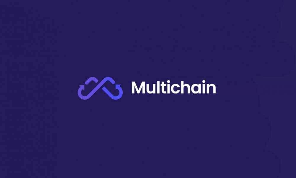 Multi-chain la gi? Xu huong dan dau cua blockchain trong nam 2022 - anh 7
