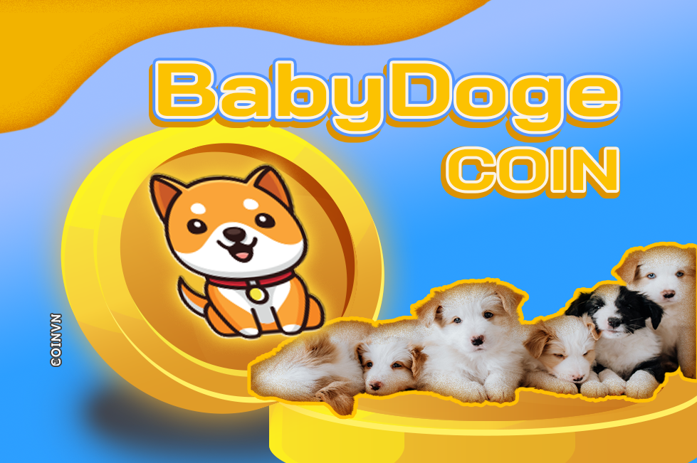 Baby Doge Coin (BABYDOGE) la gi? Thong tin chi tiet ve dong BABYDOGE - anh 1
