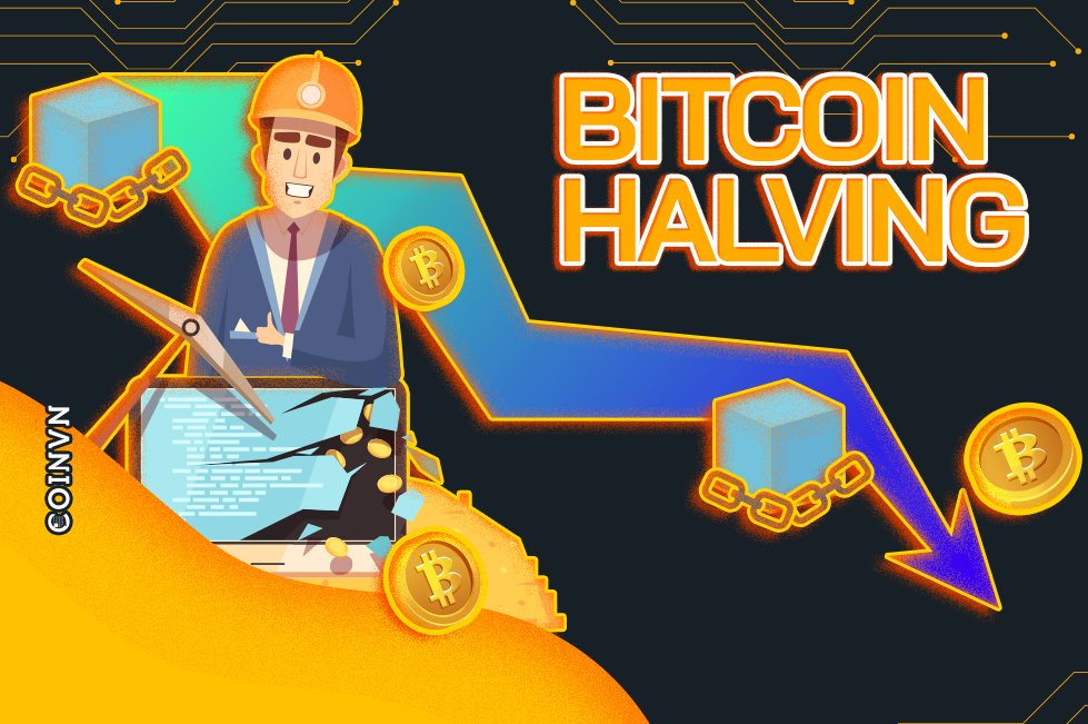 Bitcoin halving là gì? Thông tin cần biết khi đầu tư Bitcoin | Coinvn