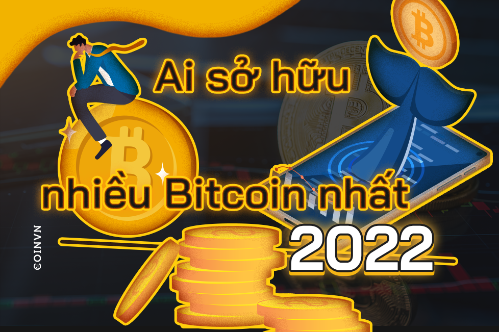 Hodlers va ca voi: Ai so huu nhieu Bitcoin nhat vao nam 2022? - anh 1