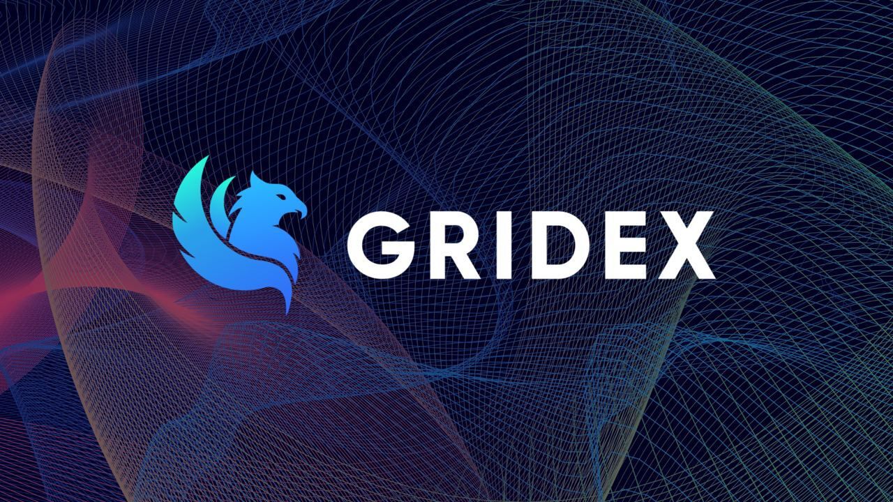 Gridex (GDX) tang hon 400% trong vong 24 gio sau khi niem yet tren san D5 - anh 1