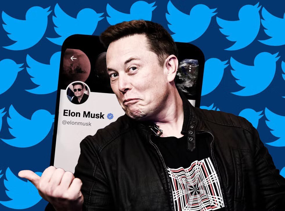 Dogecoin tang vot 30% khi Elon Musk bat ngo thay doi logo Twitter thanh bieu tuong Dogecoin - anh 1