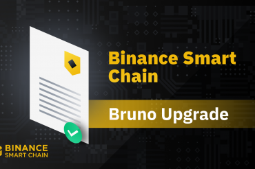 Binance Smart Chain ra mat ban cap nhat Bruno voi co che BEP-95 dot BNB - anh 1