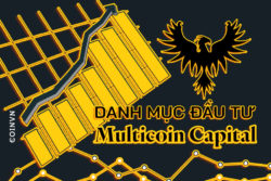 Phan tich danh muc cac quy dau tu – Multicoin Capital - anh 1