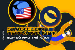 TerraUSD (UST) – Stablecoin lon thu 3 thi truong Crypto dang sup do nhu the nao? - anh 1