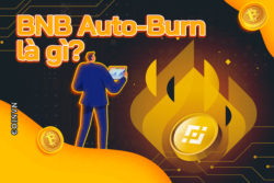 BNB Auto-Burn la gi? - anh 1