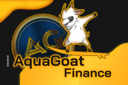 AquaGoat Finance la gi? Huong dan cach mua AQUAGOAT - anh 1