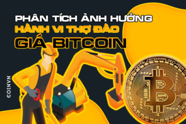 Phan tich anh huong tu hanh dong cua tho dao den gia Bitcoin - anh 1