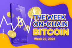 Phan tich on-chain Bitcoin (tuan 27, 2022): Nha dau co BTC da roi bo thi truong - anh 1