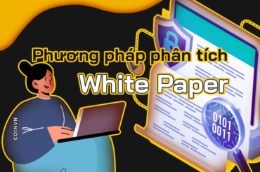 Phuong phap phan tich White Paper hieu qua cho nha dau tu - anh 1