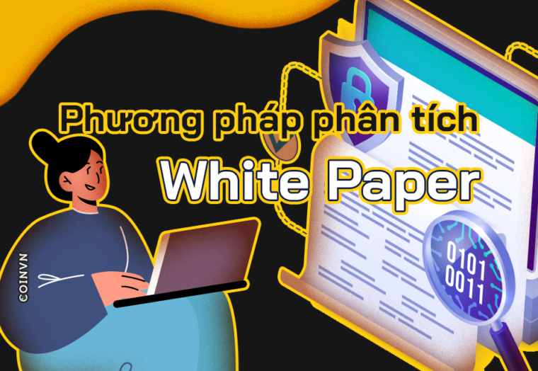Phuong phap phan tich White Paper hieu qua cho nha dau tu - anh 1