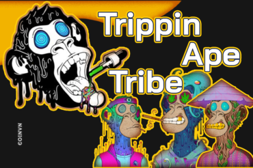 Trippin Ape Tribe: Su troi day cua Solana NFT the he tiep theo - anh 1