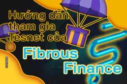 Huong dan lam testnet Fibrous Finance de co co hoi nhan airdrop - anh 1