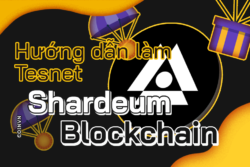 Huong dan lam testnet Shardeum Blockchain chi tiet - anh 1