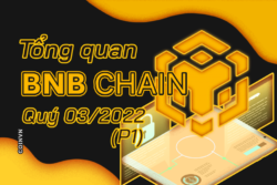 BNB Chain co gi dang chu y trong Quy 3 nam 2022 (Phan 1) - anh 1