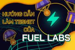 Huong dan thuc hien testnet Fuel Labs de co co hoi nhan airdrop - anh 1