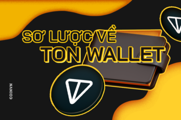 So luoc ve TON Wallet va cach hoat dong - anh 1