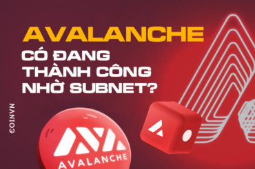Avalanche co dang thanh cong nho Subnet? - anh 1
