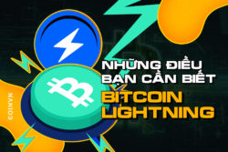 Nhung dieu ban co the chua biet ve Bitcoin Lightning - anh 1