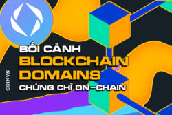 Boi canh cua cac du an Blockchain Domains va chung chi on-chain - anh 1