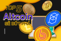 Top 5 altcoin co the but pha neu gia Bitcoin tiep tuc tang - anh 1