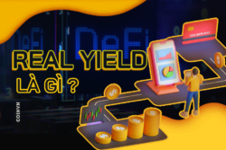 Real Yield la gi? Tam quan trong cua Real Yield trong DeFi - anh 1
