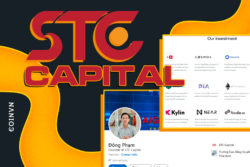 STC Capital – Nha tu van chien luoc cho cac du an blockchain tren toan cau - anh 1
