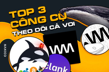 3 cong cu theo doi ca voi trong thi truong Crypto tot nhat - anh 1