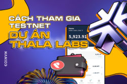 Huong dan tham gia Testnet du an Thala Labs chi tiet nhat - anh 1