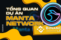 Tim hieu ve du an Manta Network – nen tang blockchain Layer 1 dang quan tam - anh 1