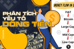 Di tim dong tien trong thi truong tien ma hoa - anh 1