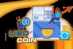 USDC ghi nhan dot dot stablecoin ky luc, quy doi 4,5 ty do la My - anh 1