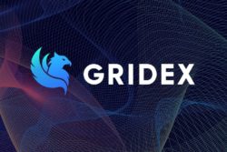 Gridex (GDX) tang hon 400% trong vong 24 gio sau khi niem yet tren san D5 - anh 1
