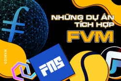 Cac du an tich hop FVM tren he sinh thai Filecoin dang de quan tam - anh 1