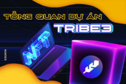 Gioi thieu tong quan ve nen tang NFT Tribe3 - anh 1
